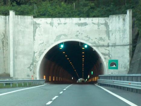 Avenco Pass Tunnel, northern portal