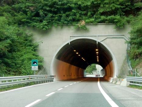 Fo Tunnel, northern portal