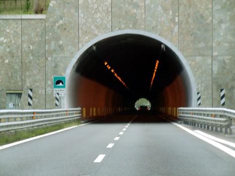 Tunnel Gay di Monti