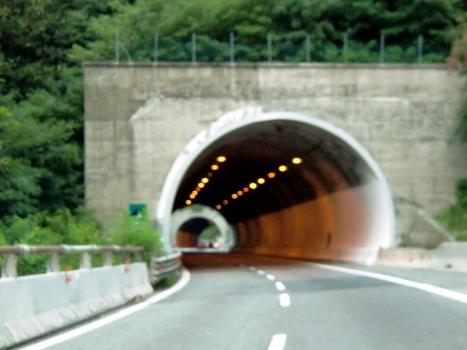 Tascé Tunnel northern portal