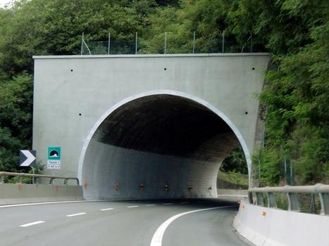 Tunnel de Teccio I