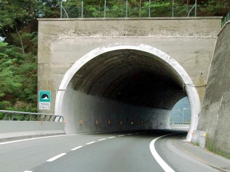 Tunnel de Termoia