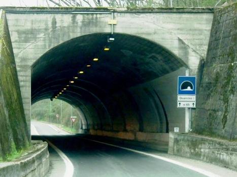Tunnel de Quarcino I