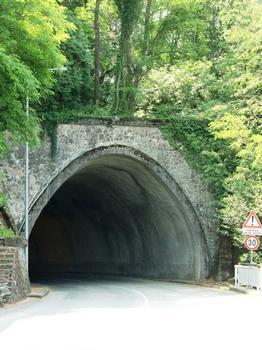 Posero Tunnel, northern portal