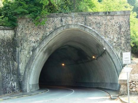 Posero Tunnel, southern portal