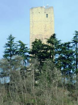 Baradello Castle