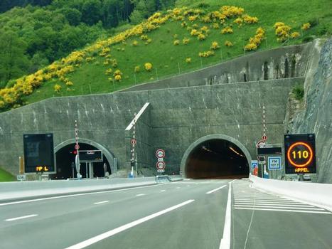 Violay Tunnel, eastern portals