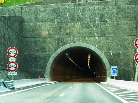 Violay Tunnel, eastern portal