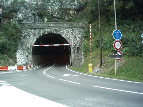 Tunnel du Chat, western portal