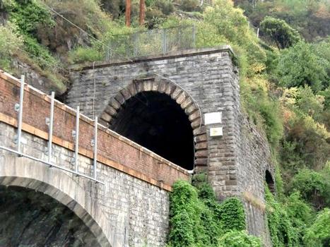Dervio Tunnel northern portal