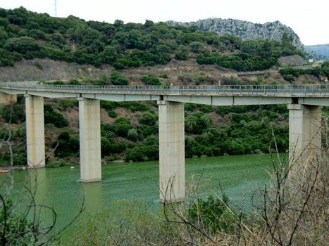 Cedrino Bridge