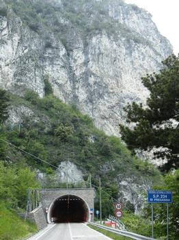 Pregasina Tunnel, western portal