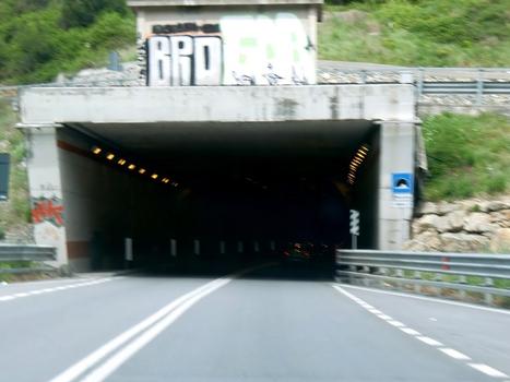 Baraccone Tunnel, southern portal