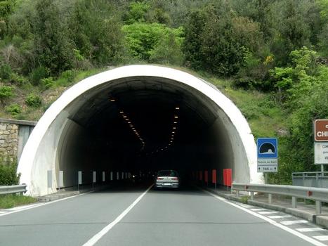 Madonna degli Angeli Tunnel, southern portal