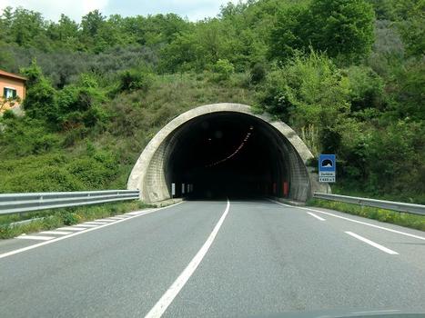 Zerbino Tunnel southern portal