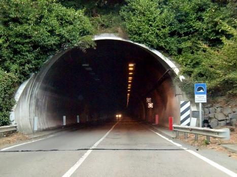 Fugona Tunnel, southern portal