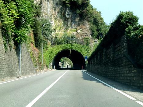 Costa Scarone Tunnel southern portal