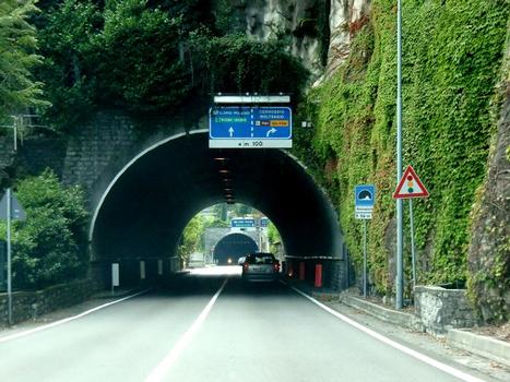 Roncaccio Tunnel northern portal; in the back, Cernobbio Tunnel northern portal