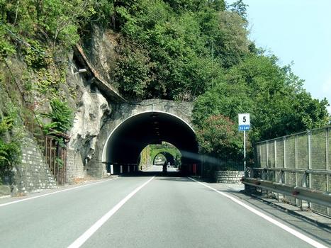 Roncaccio Tunnel southern portal; in the back, Costa Scarone Tunnel southern portal
