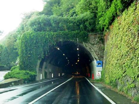Sassoldo Tunnel