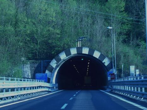 Luzzeno-Tunnel