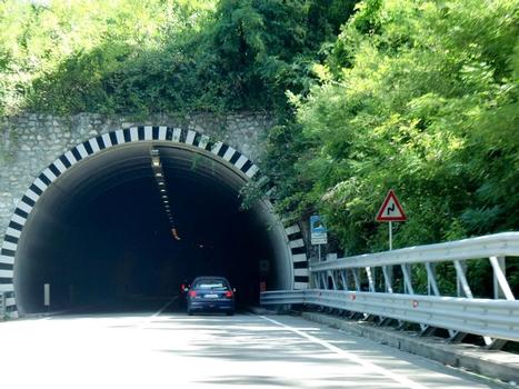 Fulminata Tunnel northern portal