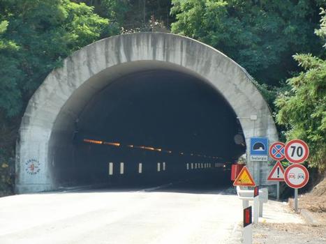 Teulargiu Tunnel, northern portal