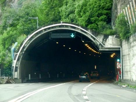 Lovere Tunnel, northern portal