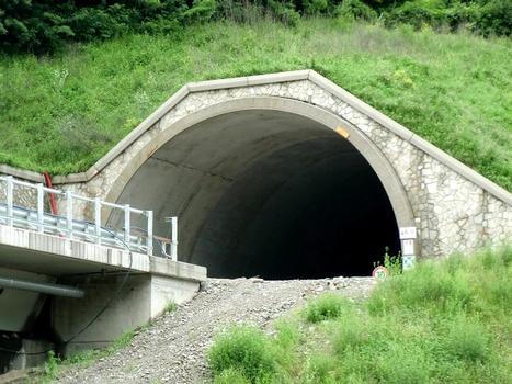 Sellero Tunnel under construction, southern portal