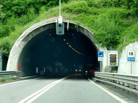 Covelo tunnel, southern portal