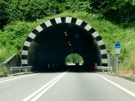 Montecolo Tunnel, southern portal