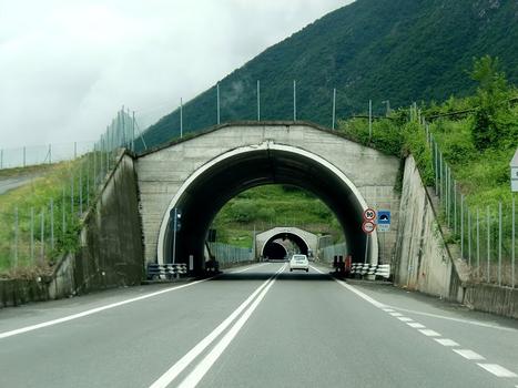Piazze Tunnel southern portal; on the background, Dosso and Massenzano southern portals