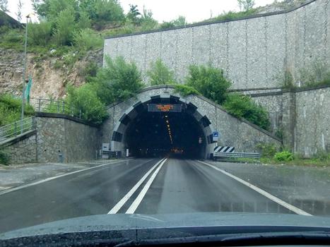 Ronchi tunnel, southern portal
