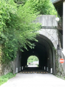 Dogna Tunnel eastern portal