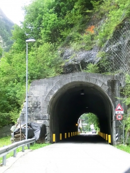 Dogna Tunnel western portal