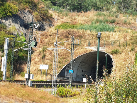 Burata Tunnel