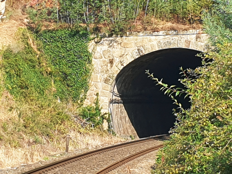 Tunnel de Formigueiro