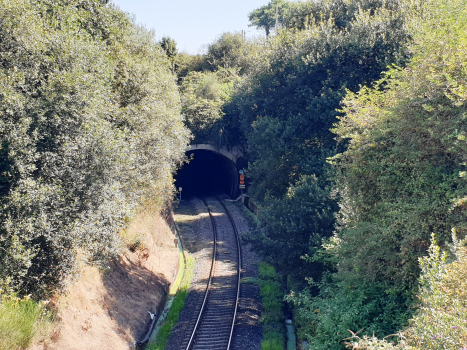 Elviña Tunnel