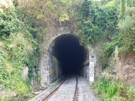 Tunnel de Lanza