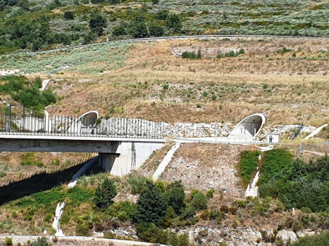 Lubian 1 (on the left) and Lubian 2 Tunnels western portals and Tuela Viaducts