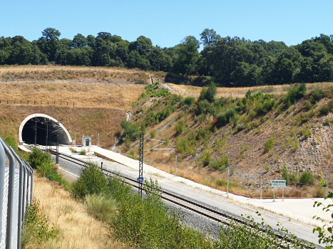 Tunnel ferroviaire à grande vitesse de Pedralba