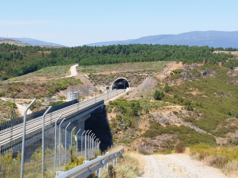 Puebla Este Viaduct and Otero Tunnel western portal