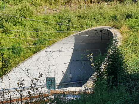 Tunnel de Redondela