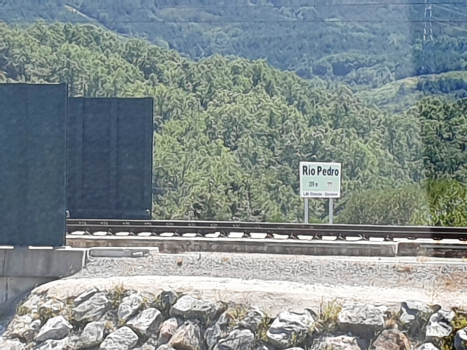 Rio Pedro Viaduct