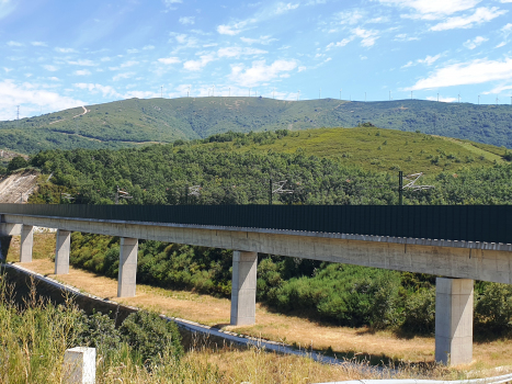 Rio Pedro-Talbrücke