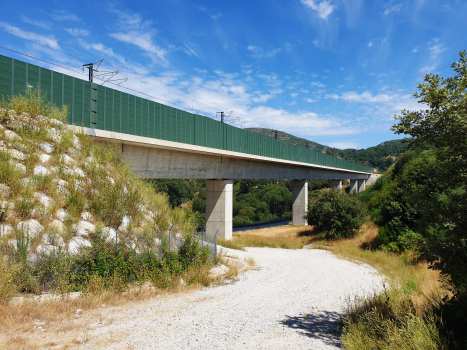 Rio Pedro-Talbrücke