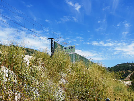 Rio Pedro Viaduct