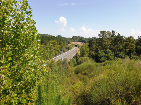 Rio Sarria Viaduct and As Cortes Tunnel