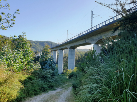 Rio Valiñas-Talbrücke