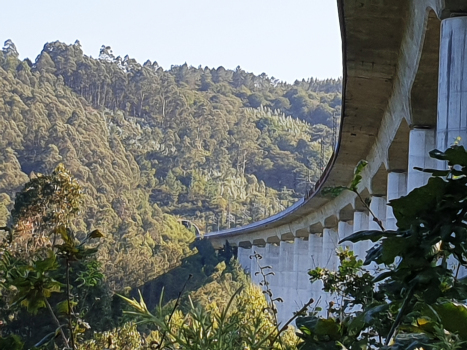 Rio Valiñas Viaduct and Meirama Tunnel northern portal